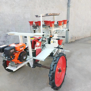 自走式蔬菜苗移栽机辣椒西红柿汽油移栽机供应苗杯2行4行移栽机
