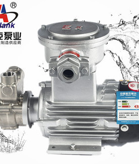 304不锈钢旋涡泵循环泵热油泵热水泵气浮泵气液混合泵50NPD5-40Z