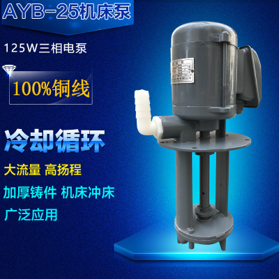 AYB-25/125W 三相电泵/抽油泵/焊机床冷却泵/铣床线切割循环水泵