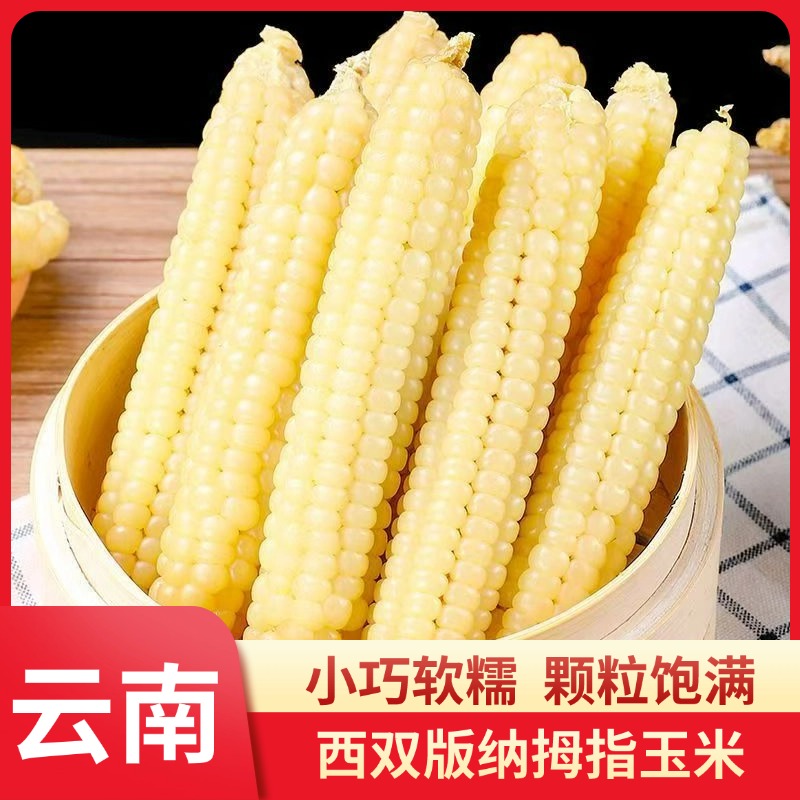 云南西双版纳拇指玉米婴儿真空装新鲜糯玉米即食香糯小玉米宝宝