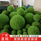 吊顶苔藓球仿真草球悬挂装 饰软装 布景花艺摆设陈列青苔球植毛球