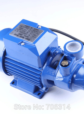 QB60 小型闽东清水泵110V 220V 家用和园林清水漩涡泵 家用泵