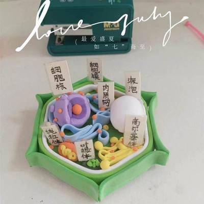 细胞模型制作材料七年级植物动物模型学生初一生物作业手工diy包