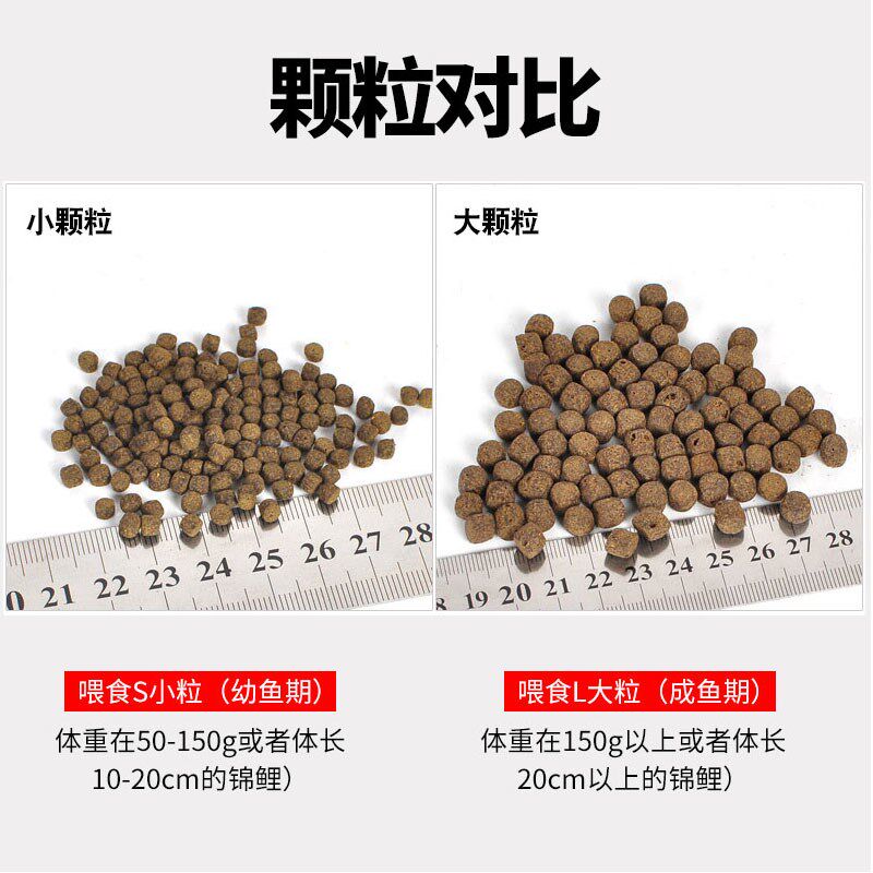 速发黑成一增鲤鱼饲料新款育统鱼食锦体鱼粮增色锦鲤色扬