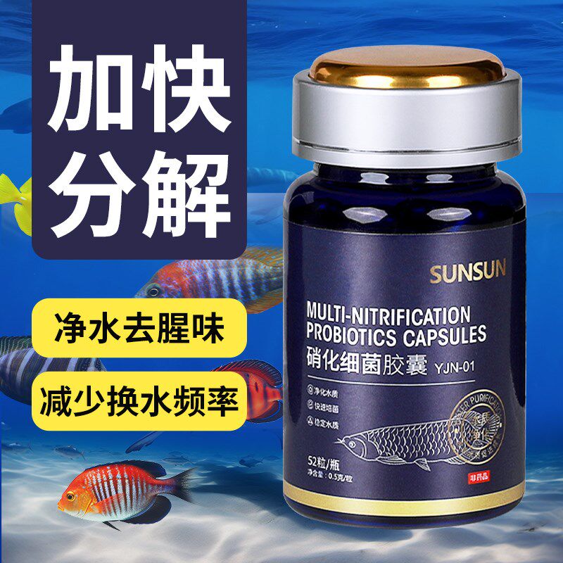 速发森森硝化鱼缸净水鱼菌干粉养鱼鱼药水族化消活用