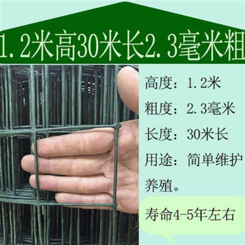 现货速发铁网格网羊圈养鸡围栏网栏栅果园围栏网防护栏网围栏网隔