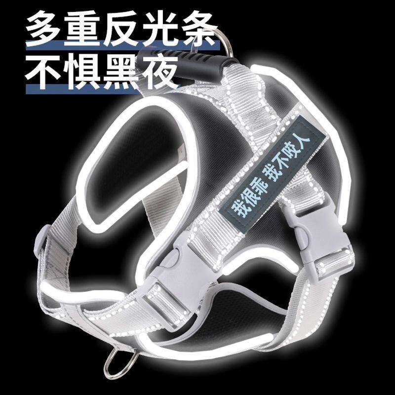 现货速发胸背带反光遛狗绳小中型大型犬狗链子金毛拉布拉多结实