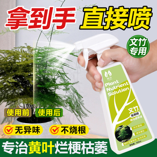 速发文竹通养液治黄叶专用免稀释植物水培营用型室内栽盆绿植花卉