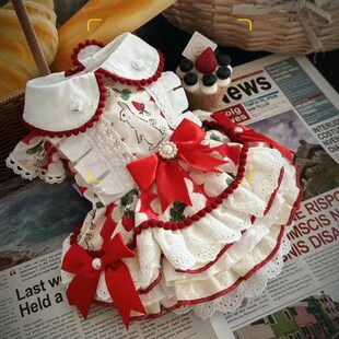 速发衣服比熊红大秋冬公主风迪博连衣裙蓬蓬裙约克夏幼犬