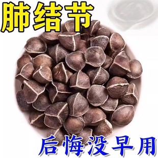 肺结节散节结茶消除清肺润肺养肺去磨玻璃结节特效中成特茶饮