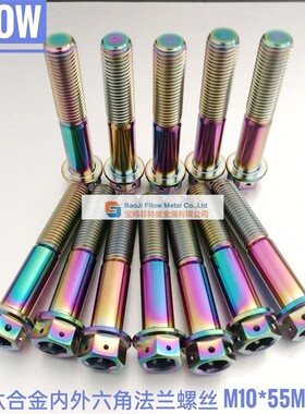 钛合金螺丝 M10x45/50/55mm 九号 E125/E200P ONE升级后减震专用