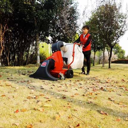 T80S集Y燃油树叶收机草落叶扫机吸清扫物JFV业保洁坪吹吸树叶机