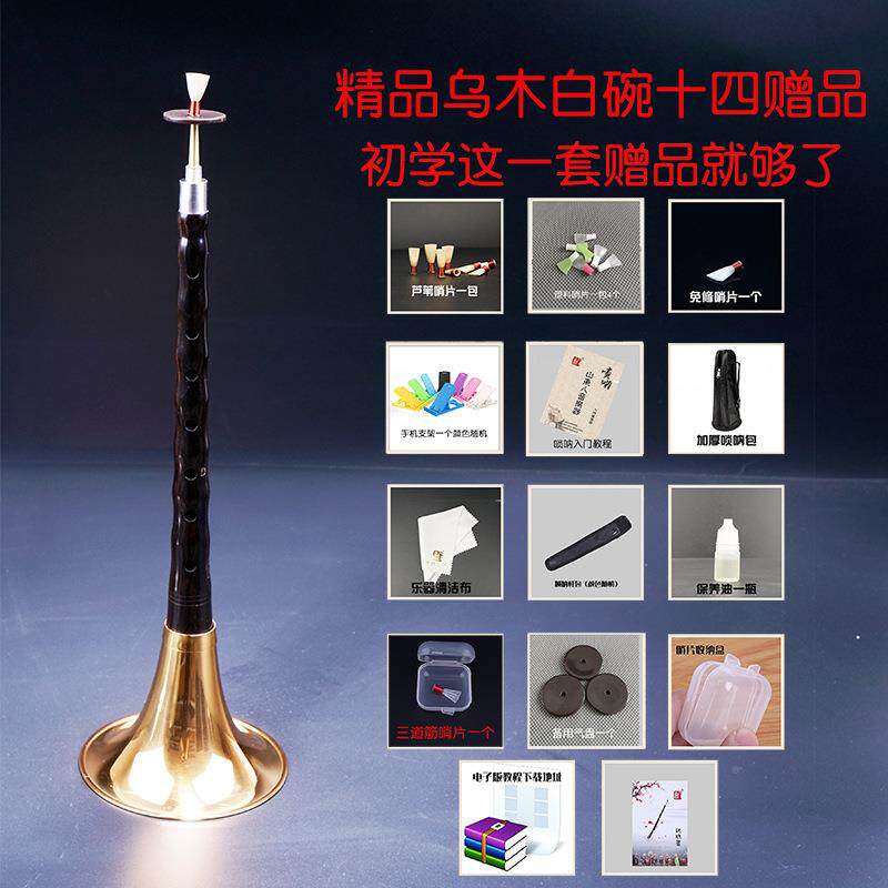 浅木竺乌檀大小点奏唢呐服务乐器全套初吹学者民间ZLtb-620喇叭黑