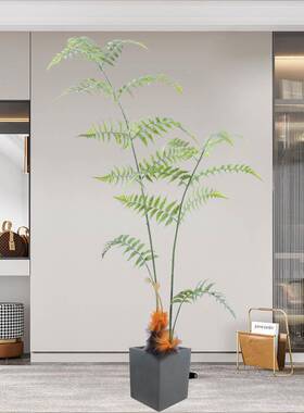 软装造景设计生仿真蕨假树头室KJZ内植物仿绿植金丝猴撅庭院装饰