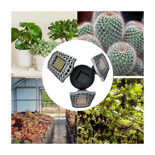 境e新款l跨d物灯多植物灯面照射防水光感大棚全光谱植LED植物生长