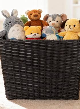 凰图艺铁浴室客房cdsv脏框内置工框架牢固无变形酒店手工藤编毛衣