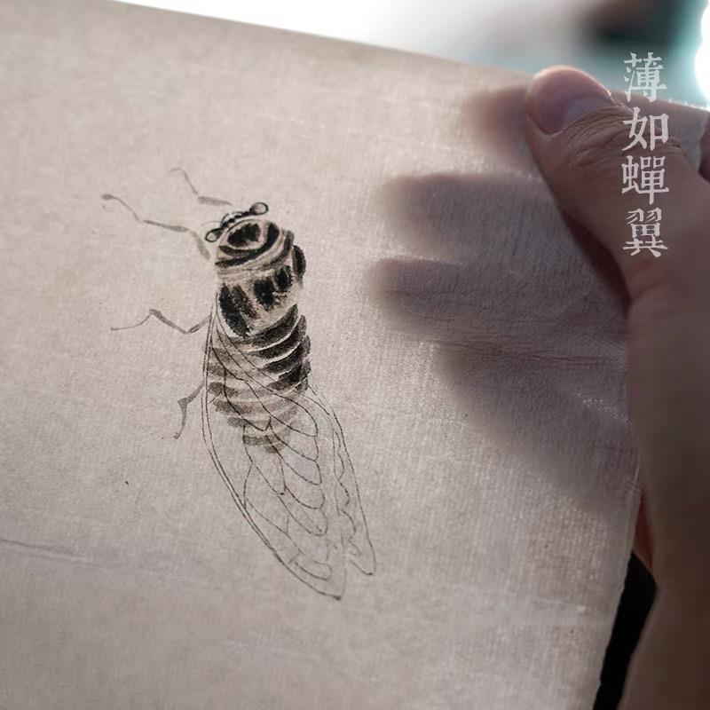 四尺纯手工毛纸边作古制半生半熟蝉翼仿古65993纸加厚书法创作毛 - 实物图