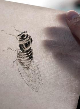 四尺纯手工毛纸边作古制半生半熟蝉翼仿古65993纸加厚书法创作毛