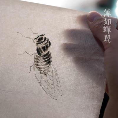 四尺纯手工毛纸边作古制半生半熟蝉翼仿古65993纸加厚书法创作毛