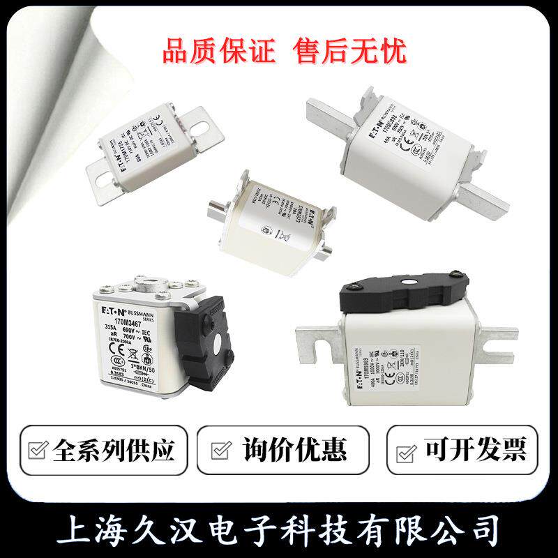 170M7249S170JIQM7250170M725517S0M7260BUMAN熔断器保N险丝