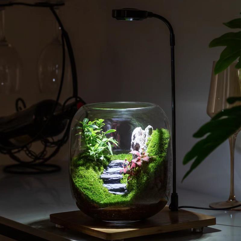 【步步高升态】创意苔藓微景观摆rm715351件植盆物景办公室桌·面