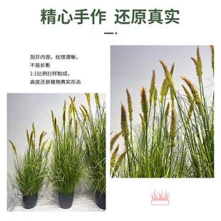 仿绿景真CYY狼尾盆栽狗尾巴草芦苇草景装饰商场橱窗立体盆植装造