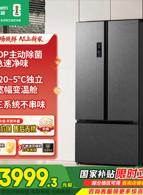 容声526升T型多门IDP双净三系统循环风冷超薄嵌入一级变频电冰箱