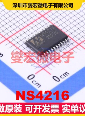 NS4216 ETSSOP-24-EP 音频放大器芯片IC