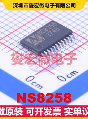 NS8258 ETSSOP-24-EP ABD类功放音频放大器芯片IC