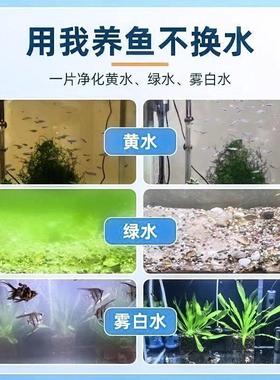 除神藻剂鱼缸除藻苔剂鱼缸专用去清绿水绿藻去青QWI苔除剂丝藻克