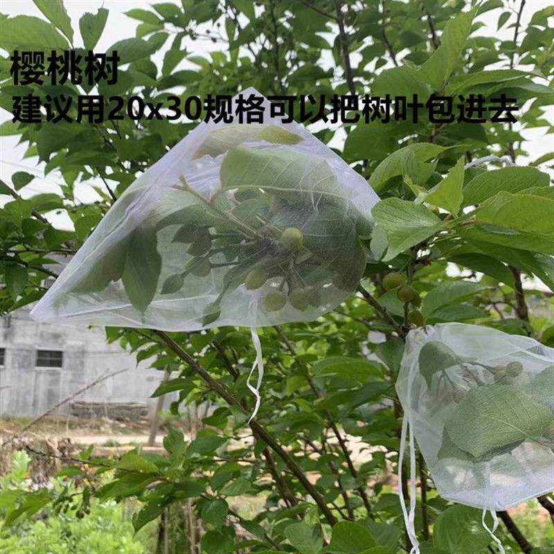 现货水果套袋防鸟网纱袋防虫袋果树无花果葡萄桃子草莓.保护袋果