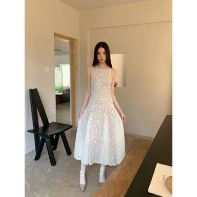 小众服性感性无感提花装微透视袖连衣裙雅纤细百褶优裙的WFO妇女