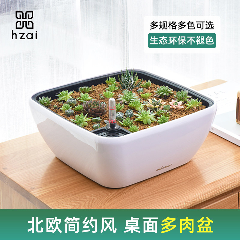 速发方形自动吸水懒人大口径花盆多肉盆景免浇水绿萝盆栽桌面塑料