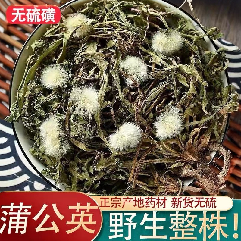 晾晒散装整株蒲公英草新当季500g大全原料整棵晒干的蒲公英茶