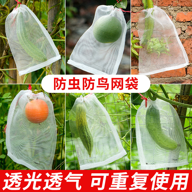 速发尼龙水果防虫网袋葡萄瓜果防鸟套袋 50个/100个大容量园艺防