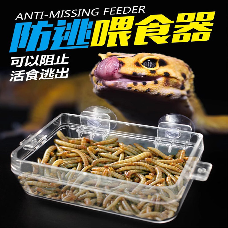 速发爬虫防逃喂食器食水盆防逃脱爬宠蜥蜴守宫面包虫大麦吸盘食盆