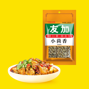 友加小茴香50g 川菜调料烧菜炖菜火锅调料配料卤料大料香料露营