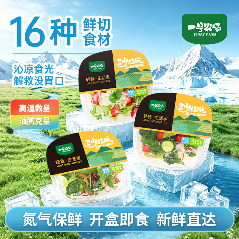 即食16种新鲜蔬果夏日冰爽薄荷冰草混合沙拉碗轻食代餐