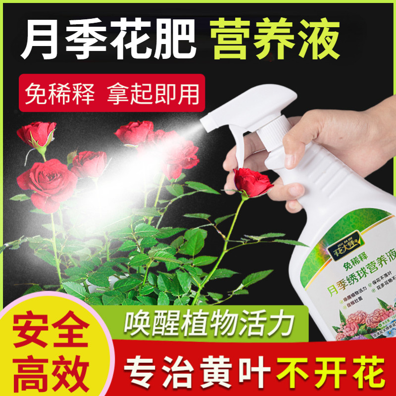 速发月季肥料专用肥营养液玫瑰绣球月季花卉促花养花喷施叶面肥免