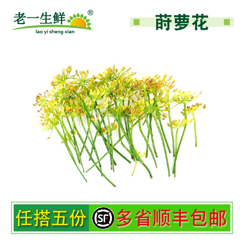 【】新鲜莳萝花1盒20朵小茴香花摆盘装饰点缀鲜花