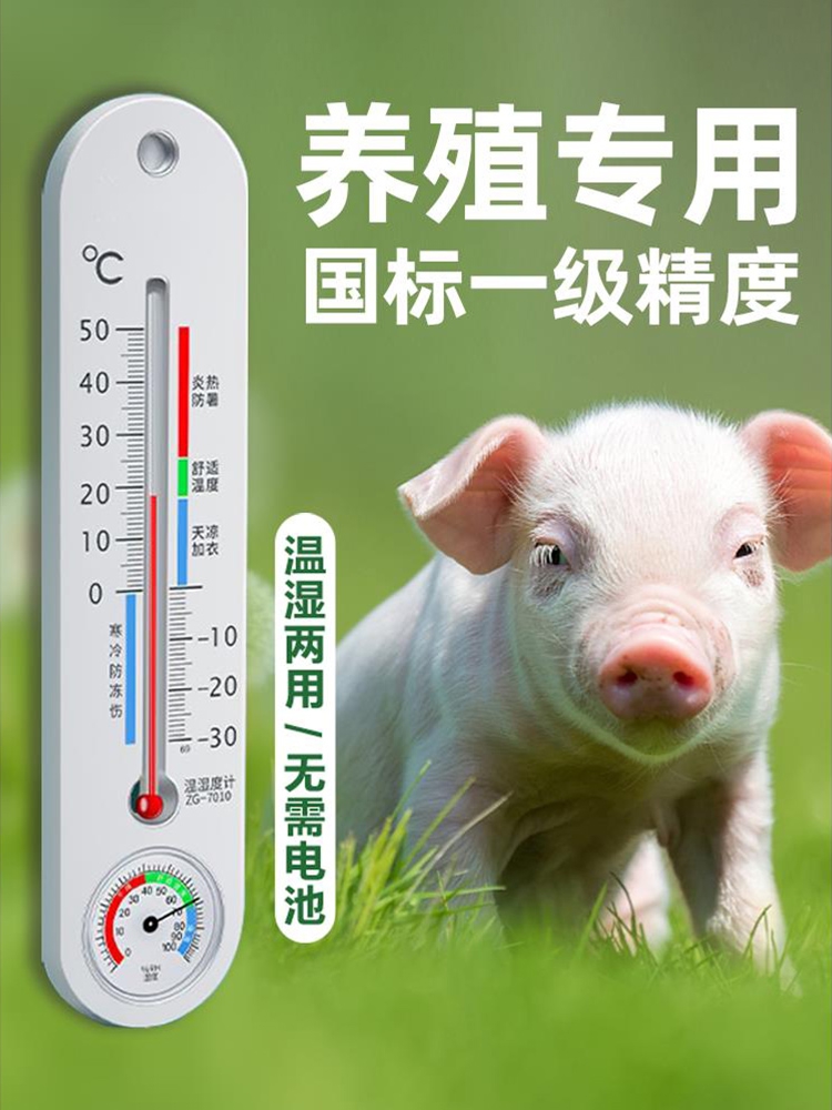 德国温度计大棚专用养殖场温湿度表室内外壁挂式挂墙空气干湿度计