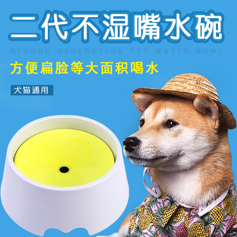 速发饮水盆不湿嘴水碗喝水器猫狗防溅喝水碗不沾嘴不湿胡子饮水器