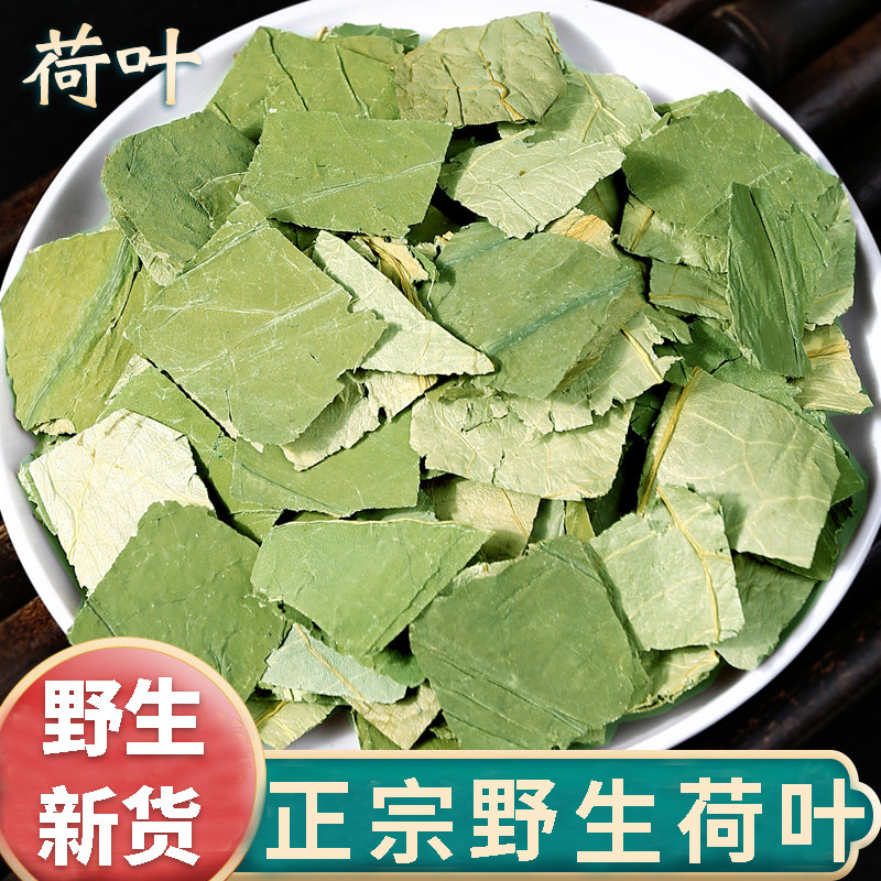 分装清洗荷叶干荷叶片新自产500g袋装新鲜小片荷叶干荷叶茶