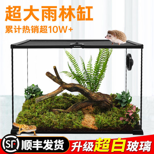 速发爬宠雨林造景生态缸睫角守宫蜥蜴蛇角蛙树栖玻璃爬虫饲养箱