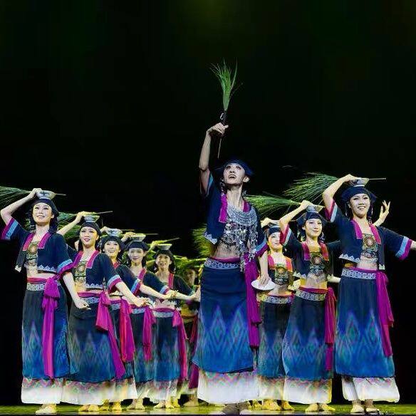 生生回响舞蹈服声声少数民族演出服女子群舞表演服彝族黎族苗族服