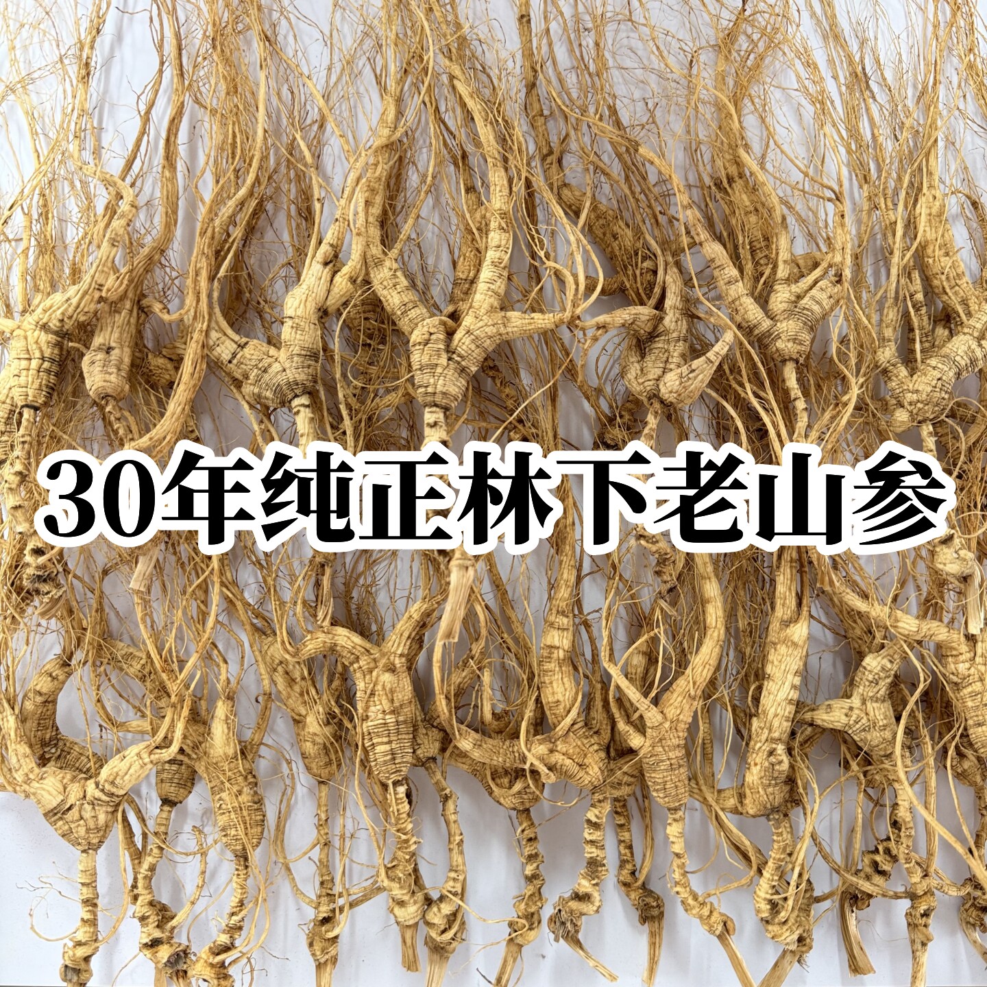 长白山野山参东北野生人参长白山野山参25年20年30年林下参