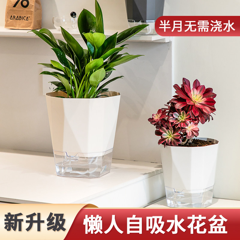 速发懒人花盆自动吸水家用塑料储水青山盆水培绿萝多肉透气水培盆