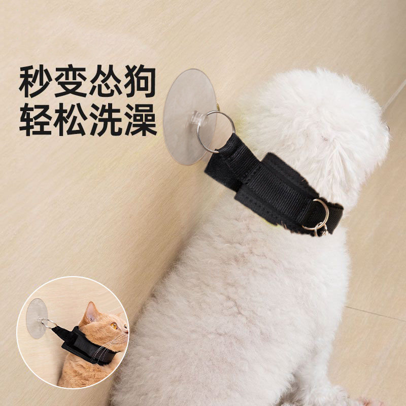 速发洗澡固定器剪指甲剃毛防抓咬防跑猫咪洗澡神器拴狗吸盘绑狗绳