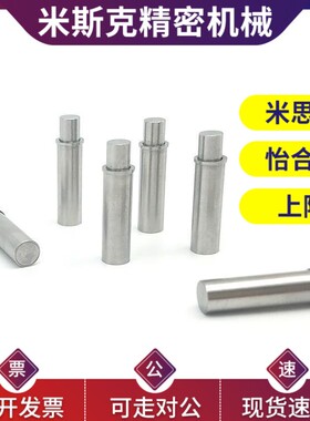 替代MPJS/MPFS1.5-1.5 2-1.5 3-3 4-3 5-4平头销小径弹簧柱塞替咪