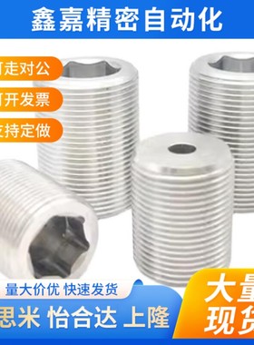 PAF02细牙内六角调整螺丝LVWM LVFWM12/16/20/24/30-L10/20/30/40